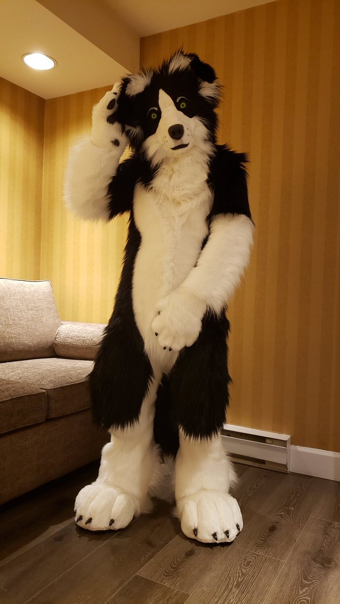SkuruWolf's tweet photo. Am dog https://t.co/nXdYmEIM8P