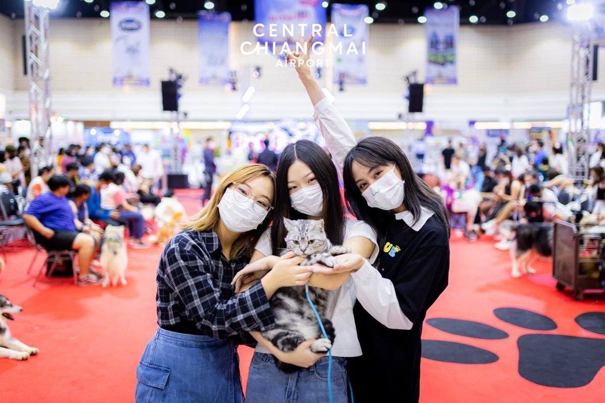 herocatthfc's tweet photo. [heronews] — 🐈🤍

ฮีโร่ไปงาน “Chiang Mai Pet Fair” มาค้าบ เย้ ทุกคนสามารถไปพบเจอเหล่าเพื่อน ๆ แสนน่ารักของผมกันได้นะคั้บ 🐶🐱💕

🏠: Chiang Mai Hall, Central Chiang Mai Airport 3-6 Nov 2022

#HeroCGM48 #ParimaCGM48 
#NenaCGM48 #JjaeCGM48
#CentralChiangMaiAirport https://t.co/1CZWZEsDJD