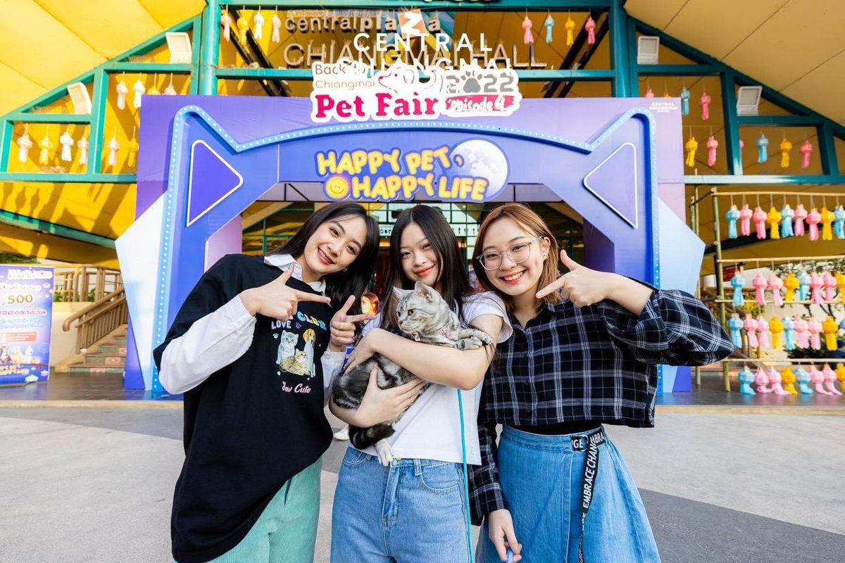 herocatthfc's tweet photo. [heronews] — 🐈🤍

ฮีโร่ไปงาน “Chiang Mai Pet Fair” มาค้าบ เย้ ทุกคนสามารถไปพบเจอเหล่าเพื่อน ๆ แสนน่ารักของผมกันได้นะคั้บ 🐶🐱💕

🏠: Chiang Mai Hall, Central Chiang Mai Airport 3-6 Nov 2022

#HeroCGM48 #ParimaCGM48 
#NenaCGM48 #JjaeCGM48
#CentralChiangMaiAirport https://t.co/1CZWZEsDJD