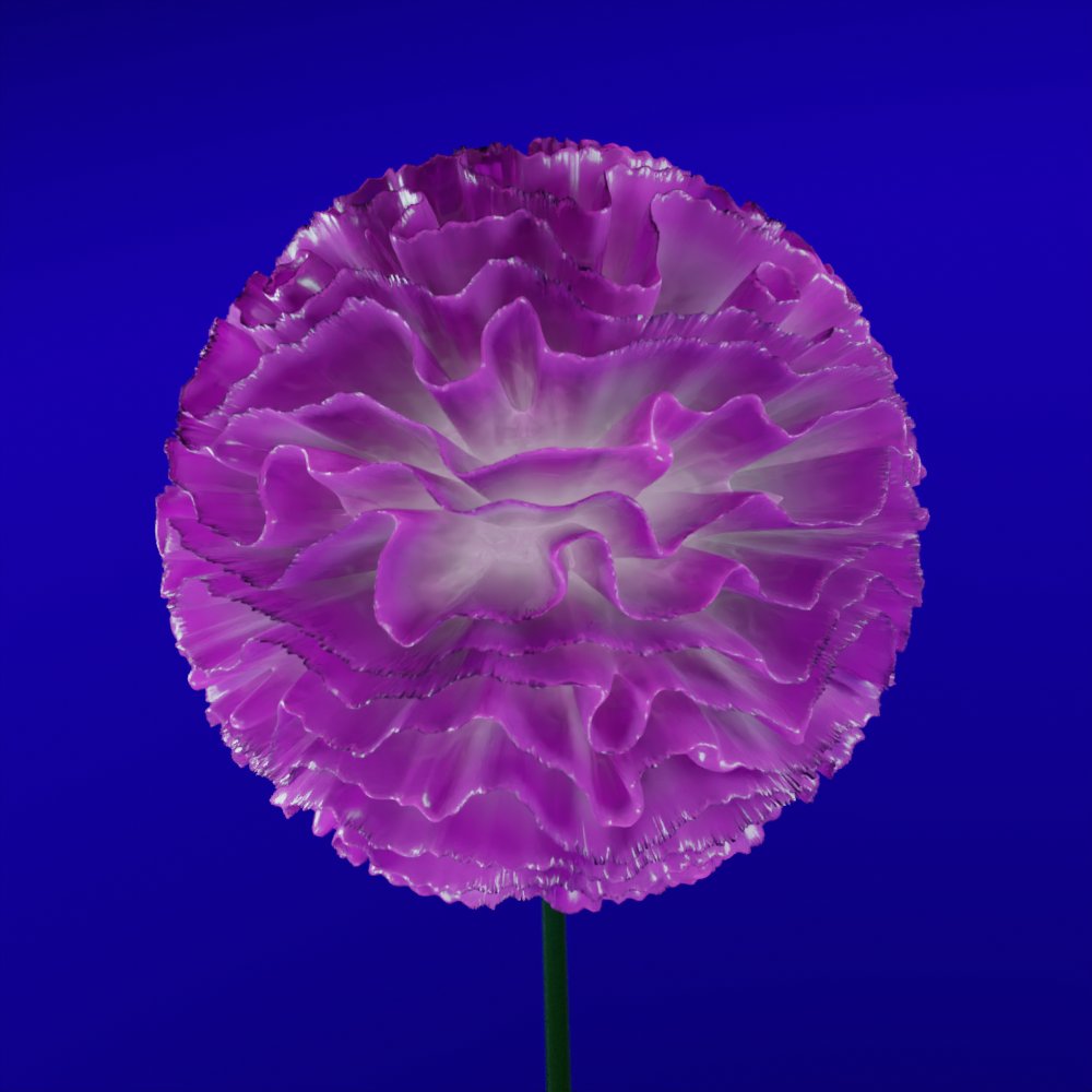 Solarium NFT tweet media