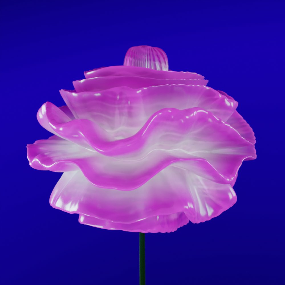 Solarium NFT tweet media