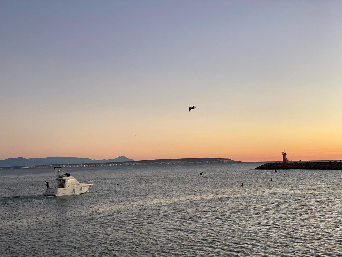 JoseLSaezPastor's tweet photo. Buenos días y feliz fin de semana desde la playa Vivers y la desembocadura del río Segura. Espacios naturales para vivirlos y disfrutarlos. @GuardamarTurism #Deporte #MedioAmbiente #Naturaleza #Playas #Gastronomía #Cultura #Patrimonio #Comercio #Servicios #CalidadVida https://t.co/reJ73aC0ce
