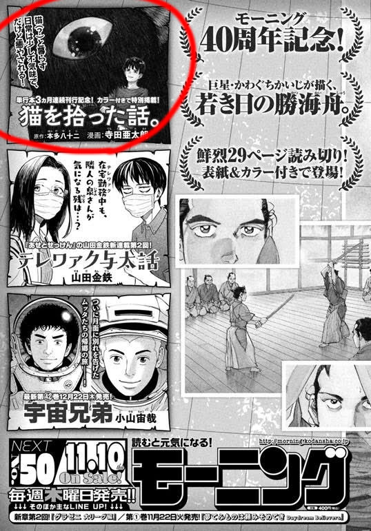 【猫を拾った話。モーニング出張版のおしらせ】
なんとこのたび、単行本3か月連続発売を記念して
#ねこひろ が11/10発売のモーニング50号へ出張掲載します!(!?)

1話を抜粋&再編集し、作画しなおした12Pです。
何かの折にお目にかかれれば幸いです。 