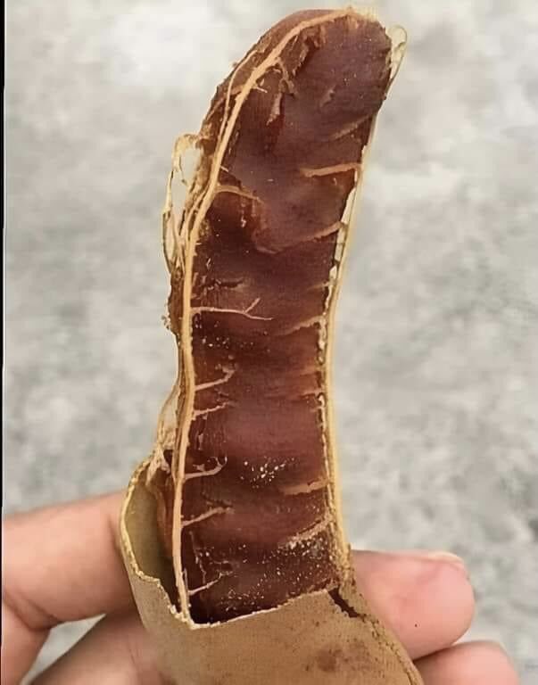 Muitos não vão saber que fruta é essa, os que sabem ja fez cara feia😂😂