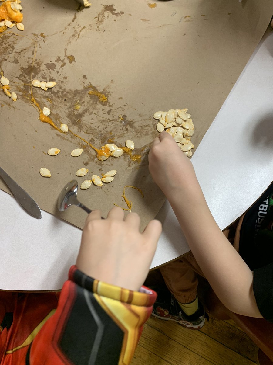 Kindergarten Ss exploring pumpkins! What’s inside? How does it feel? What does it smell like? #inquiry <a href="/BishopFeild/">Bishop Feild Elementary</a> <a href="/NLESDCA/">NLESD</a>