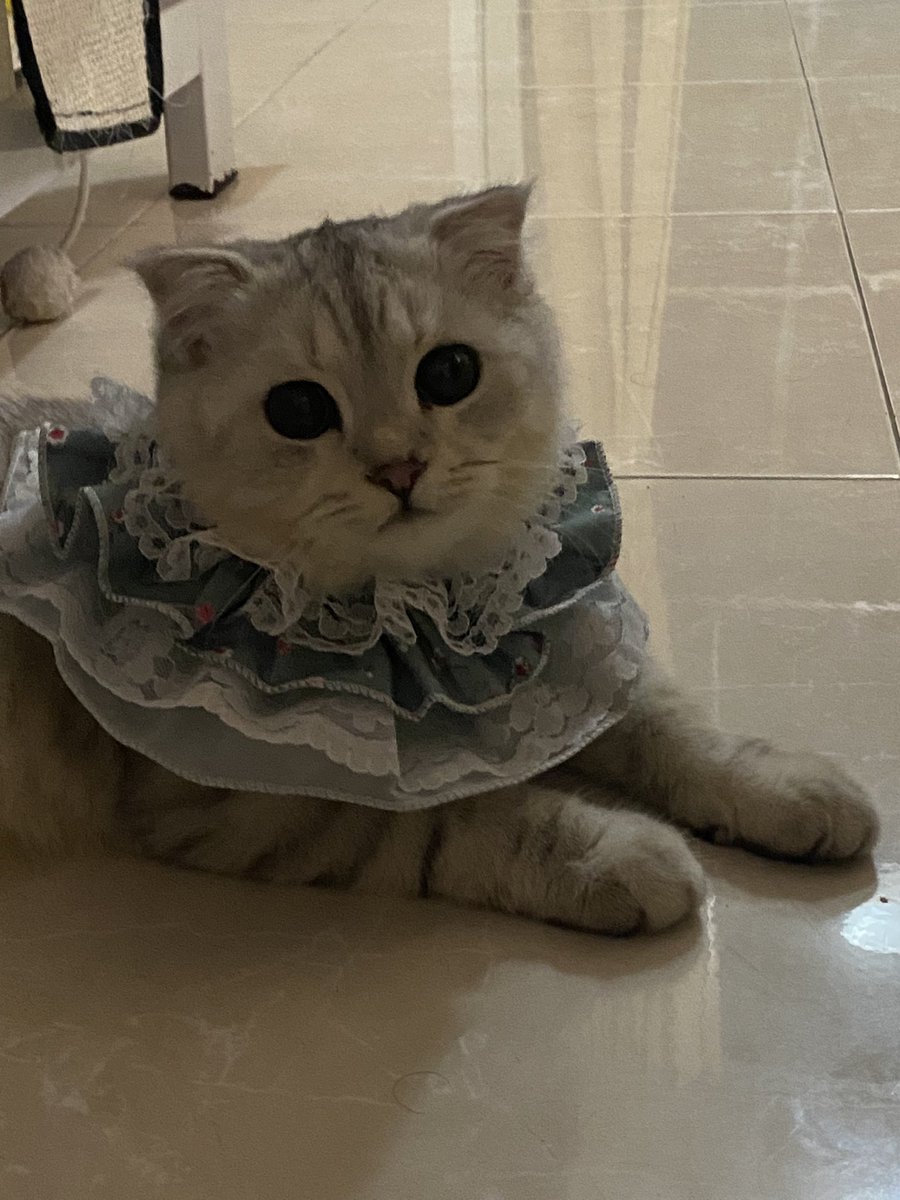 ฮารุหล่อยังคั้บบบ