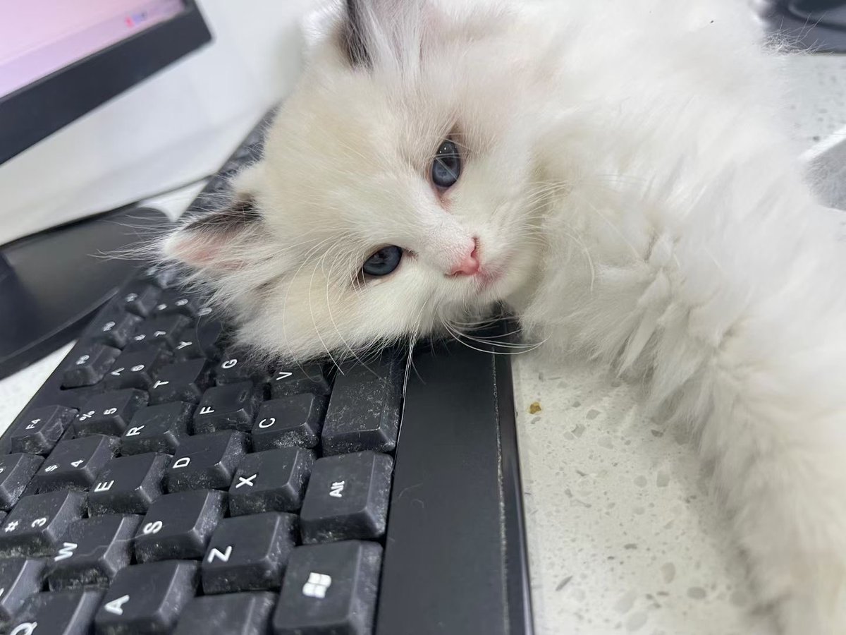 给大家看看盛世美颜 https://t.co/c5wpEYLyXN