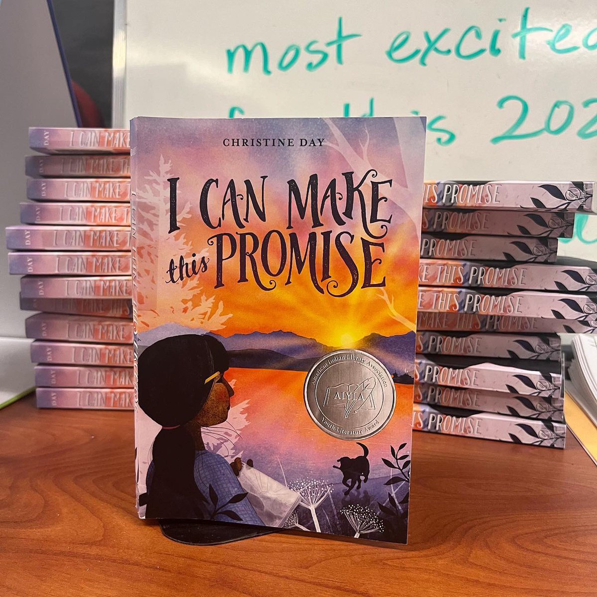 lincolnabesread's tweet image. Celebrating through reading this November! 📚 🪶 @ProjectLitAbes #NativeAmericanHeritageMonth @AbeConnection @TacomaLibrary @TPSLibraries @ProjectLITComm @FineAngeline @cherie_dimaline @ByChristineDay @CynLeitichSmith