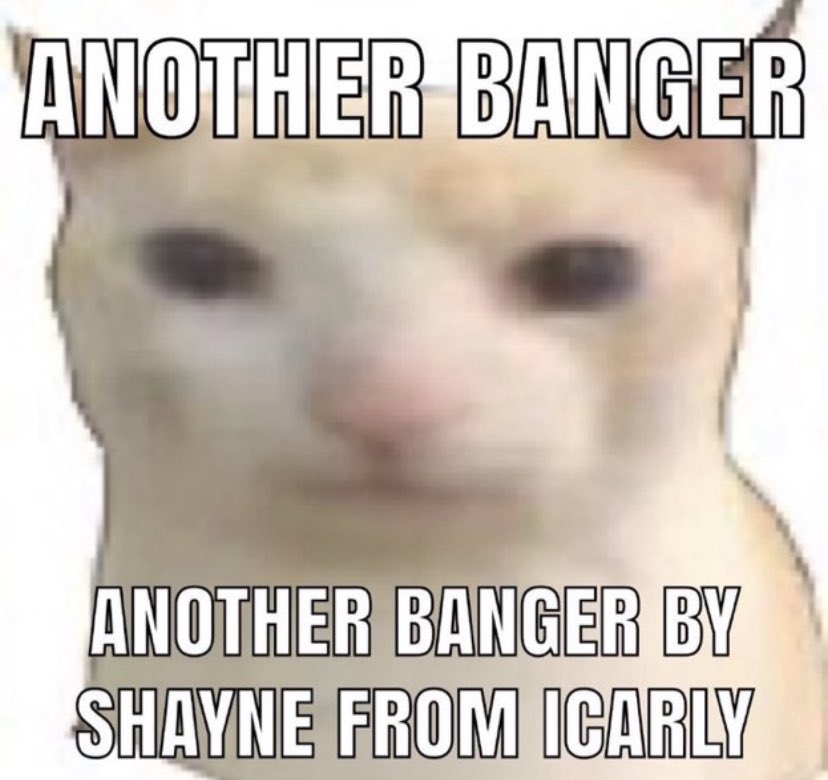 Shayne Topp tweet media