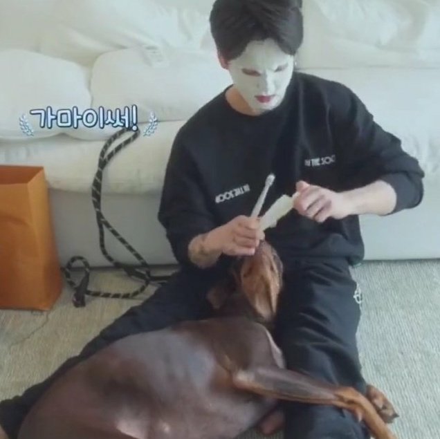 gimbapkuk's tweet photo. the way bam was hugging jungkook's leg 😭😭😭😭😭😭😭 https://t.co/NzV5NoZILa