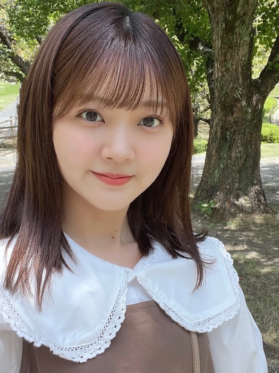 坂道ブログ画像BOT on X: 