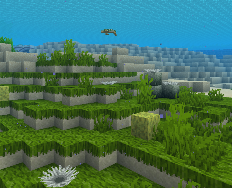 HexaBlu on Twitter "Its that time of year again! So excited to show