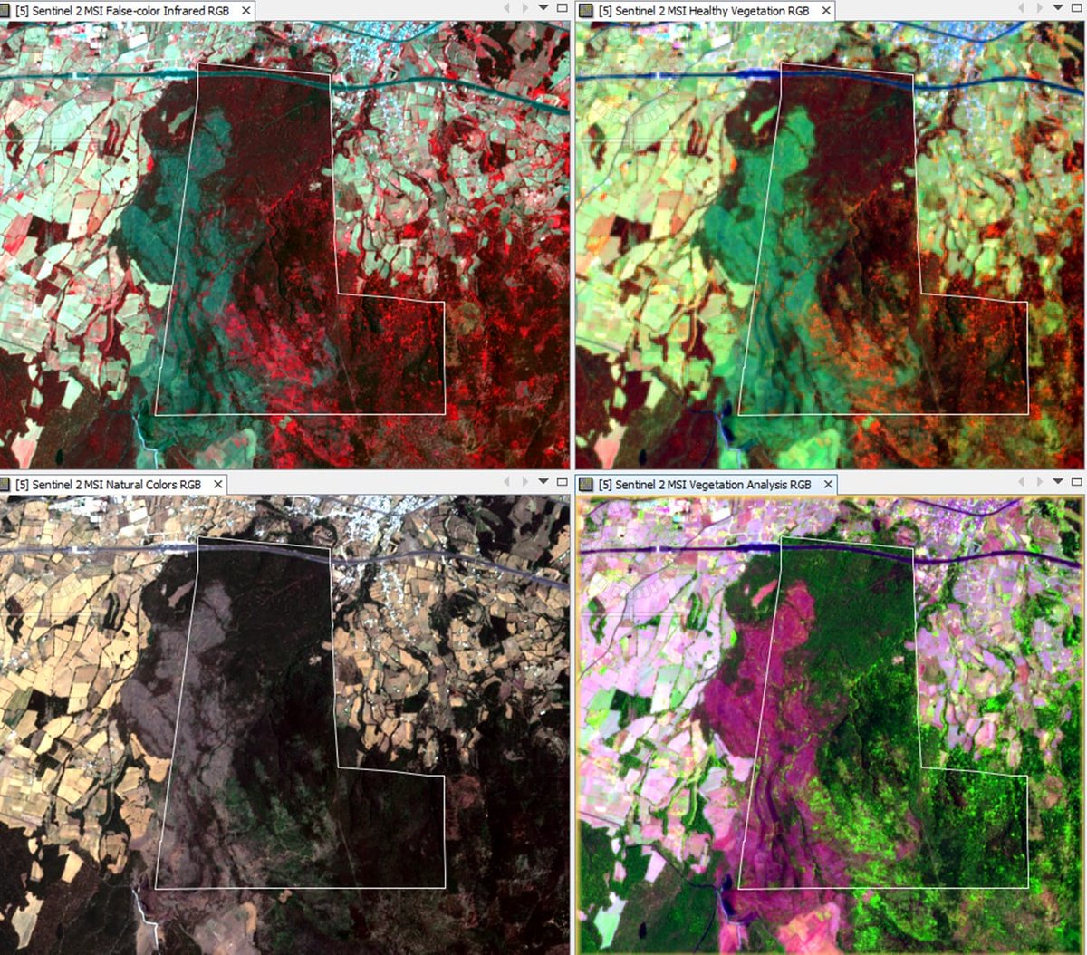 Garrobeitor's tweet photo. Área natural protegida San Juan del Monte, Las Vigas, Veracruz; imagen Sentinel 2 del 18 de mayo de 2022, varias combinaciones. 
Esta área se recupera de un incendio ocurrido del 11 al 15 de marzo de 2019 que afectó la zona oeste y suroeste.
#sanjuandelmonte #recuperacion https://t.co/gByJtZIpOR