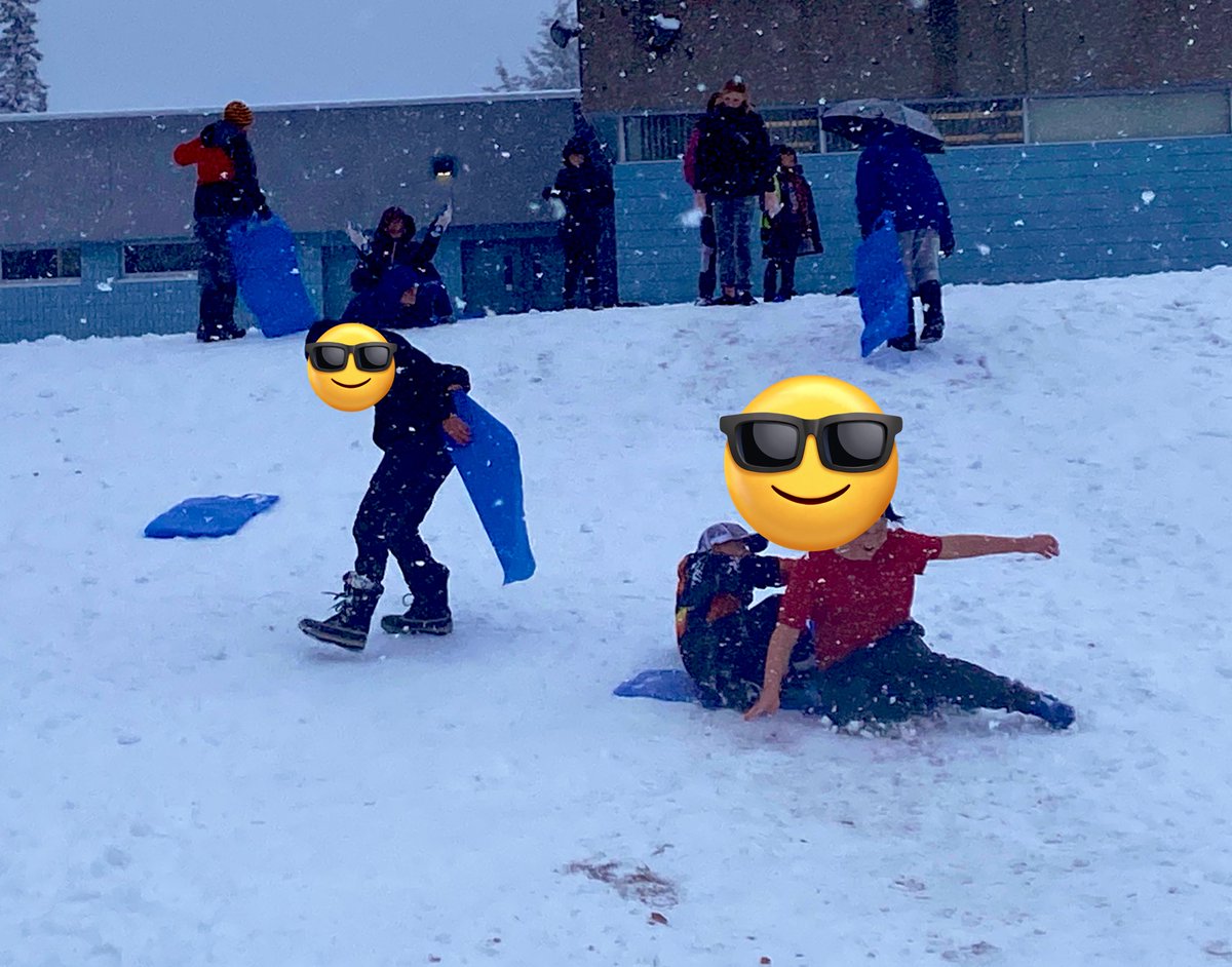 Marie Fanshaw tweet media