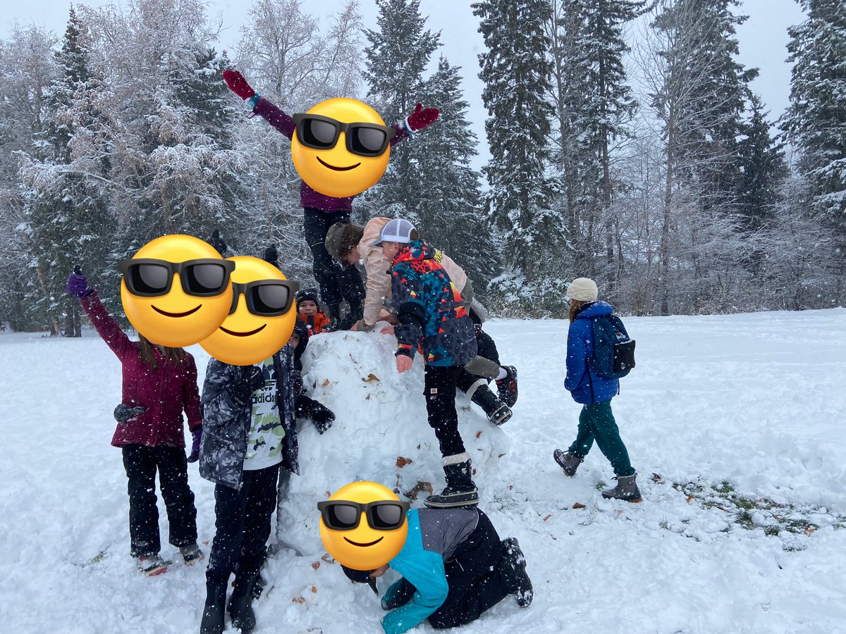 Marie Fanshaw tweet media