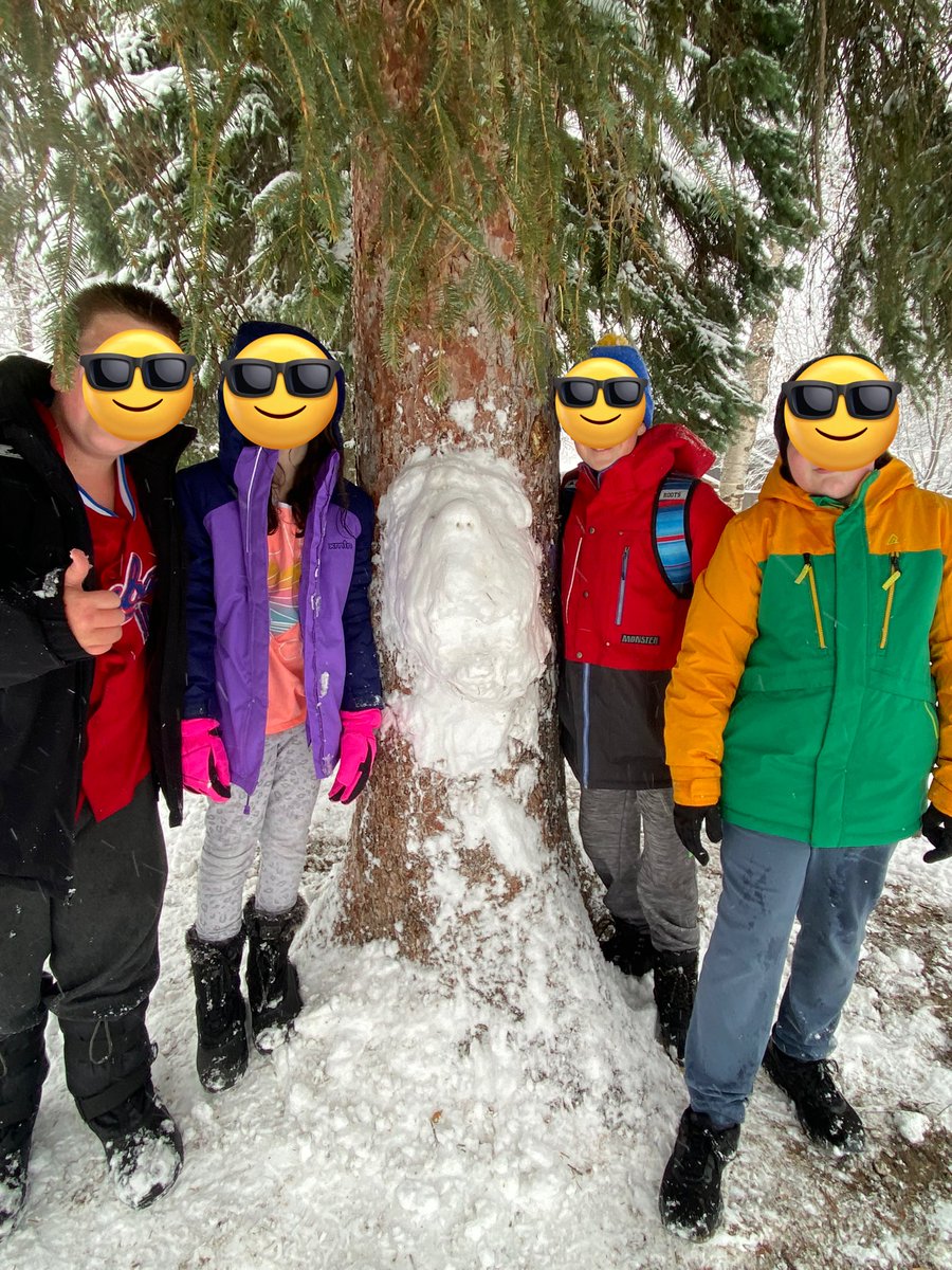 Marie Fanshaw tweet media