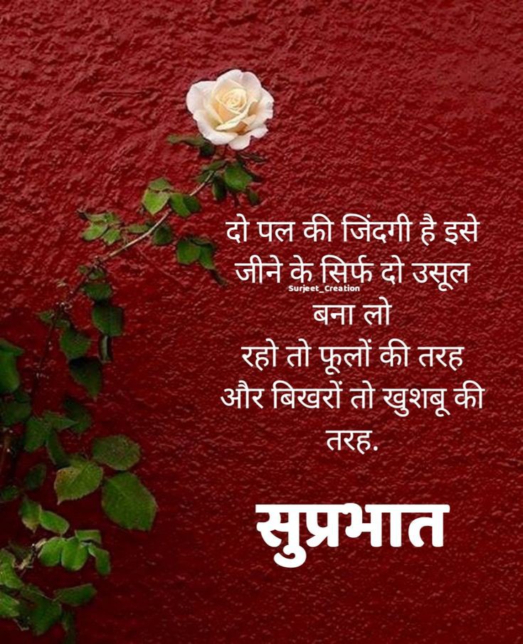 Dr Surendra Pathak tweet media