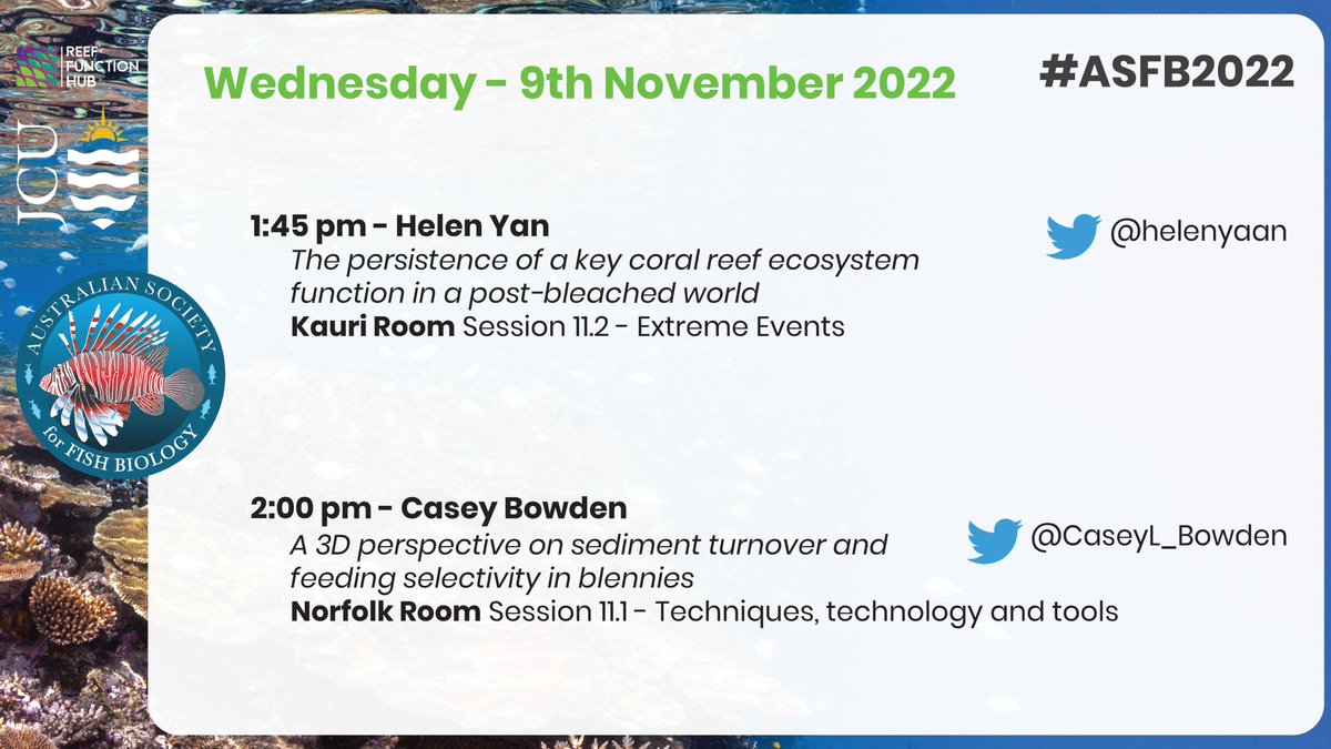 Hello #ASFB2022! 
Hope you had a great student night! 😊

If you want to catch a talk from one of us, today is your last chance! 🏃🏃💨

Today our #PhD students Helen and Casey are presenting on #tinyfish, #dirt and #functions! 🔬🐠

<a href="/helenyaan/">Helen Yan</a>, <a href="/CaseyL_Bowden/">Casey Bowden</a>, <a href="/AustSocFishBiol/">ASFB</a>