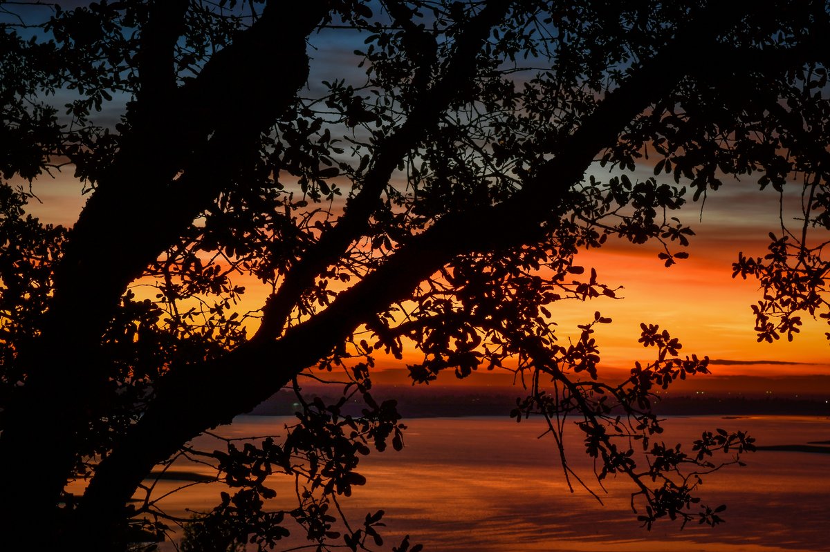 CalifFallColor's tweet image. #Autumn #sunsets in @TheGoldCountry are golden. See why at CaliforniaFallColor.com. @VisitCA #fall #sunsetphotography #autumnleaves @EDHChamber #fallcolors #AutumnColors #landscapephotography