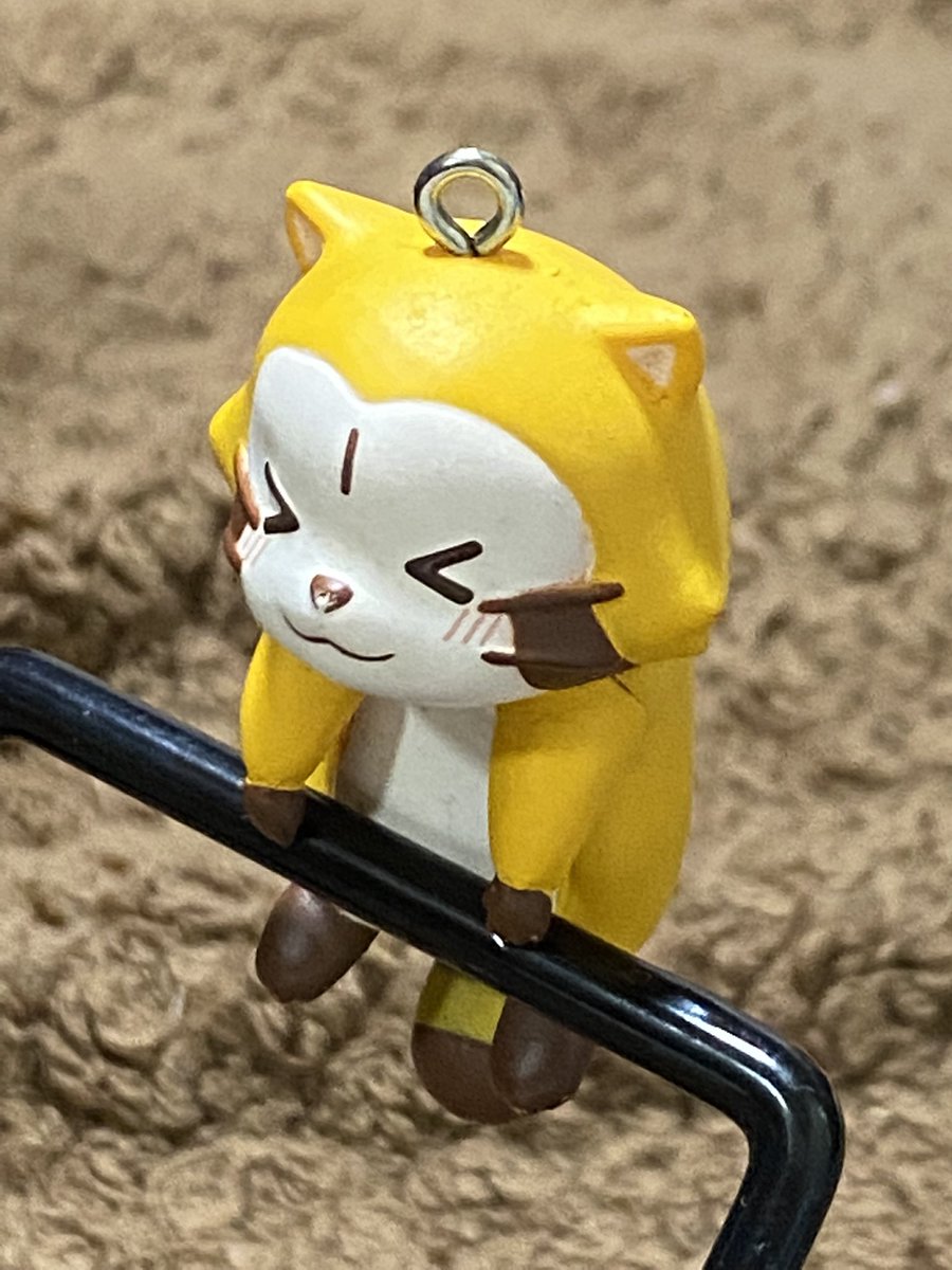 Rascal2011M's tweet image. ＃ラスカル