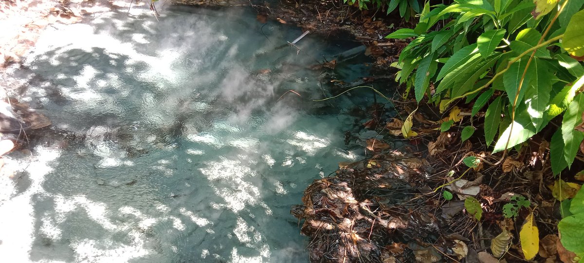 Paul_forestry23's tweet photo. Survey Potensi Jasa Lingkungan di Kawasan Hutan Kampung Mosso, Kota Jayapura. Perbatasan RI-PNG. Kolaborasi WRI Indonesia, Universitas Ottow Geissler Papua, Pemda Kota Jayapura dan Kampung Mosso. #Cities4Forests#Faraway Forests https://t.co/ugzrBKuOVC