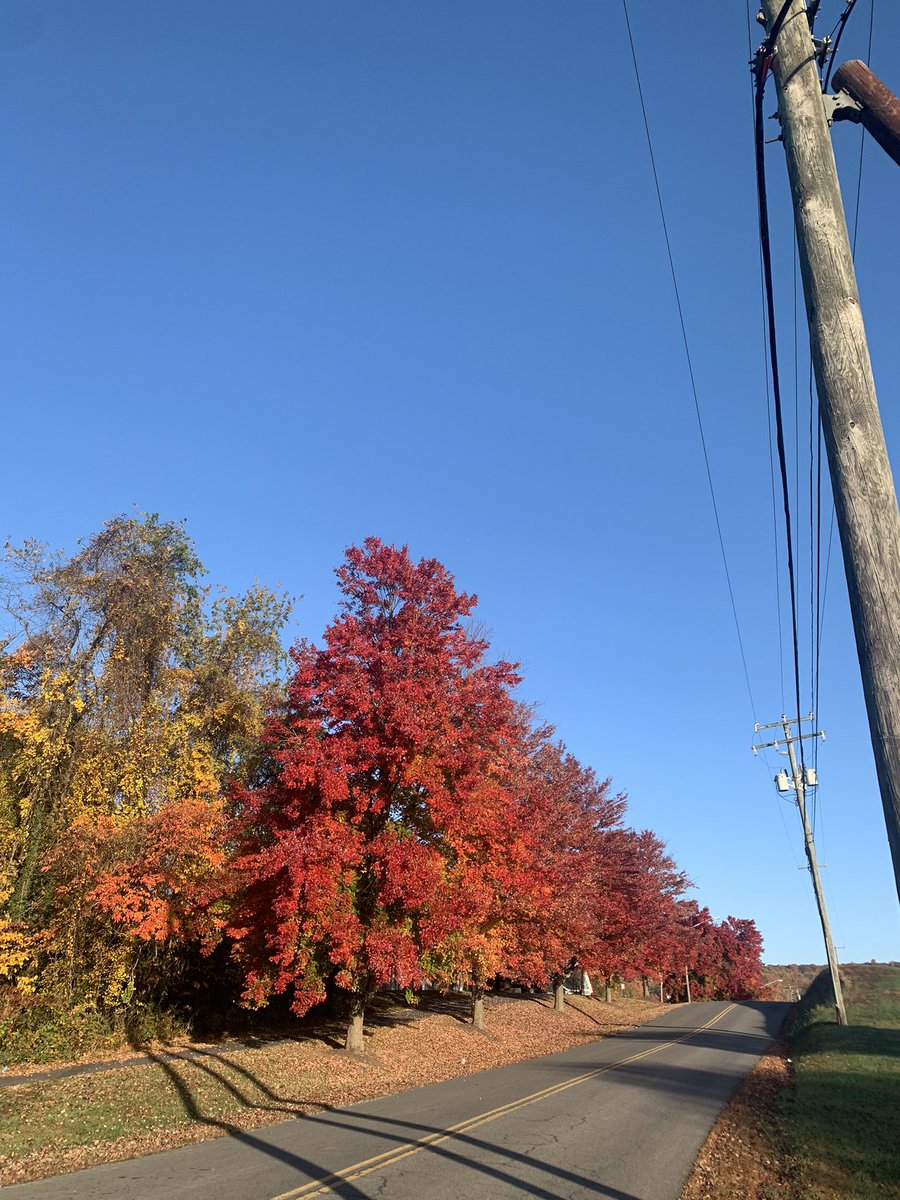 Kelly Sasher tweet media