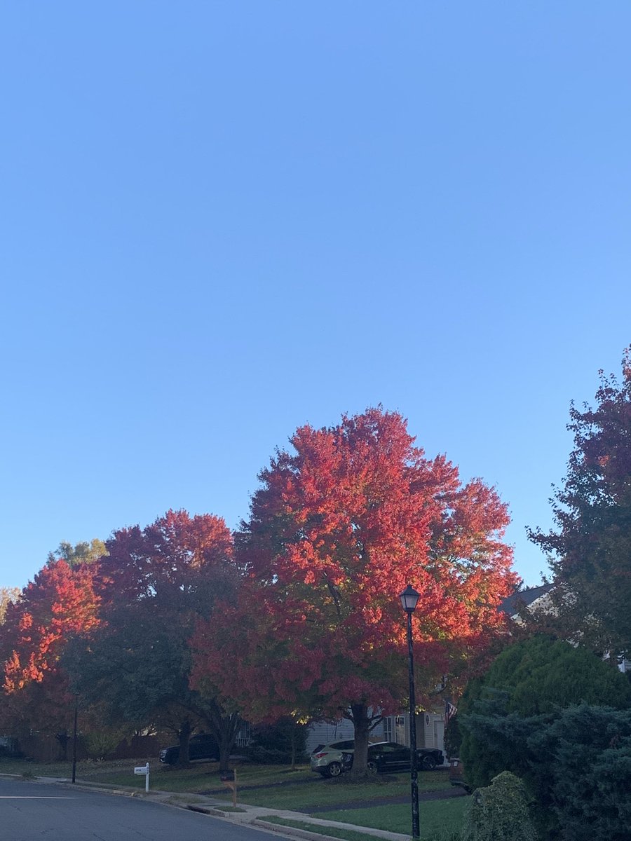 Kelly Sasher tweet media