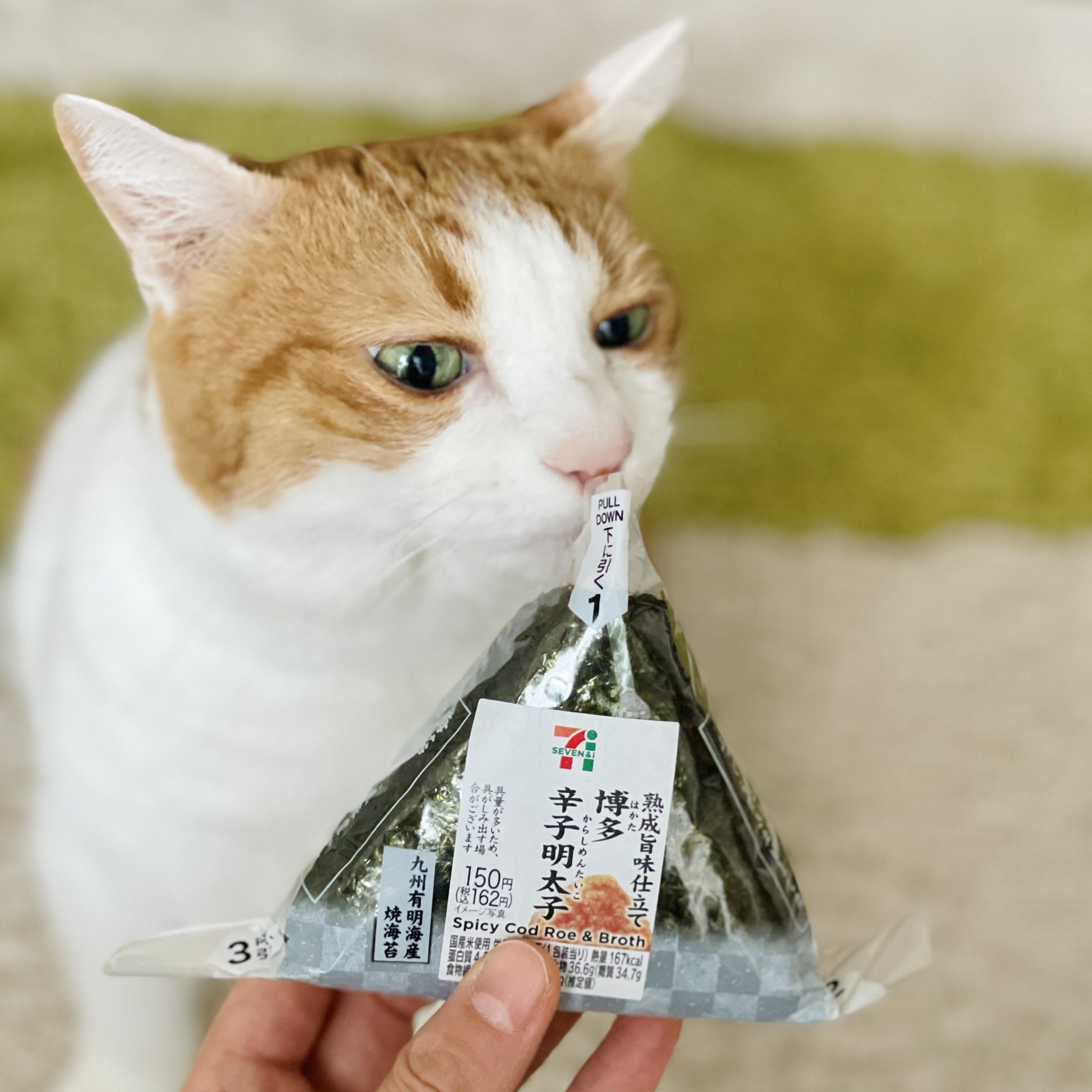いちご部長 熟女猫 Ichigobucho Twitter