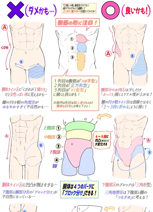 男性の『筋肉質なお尻まわり』の描き方

「ダメかも❌」と「良いかも⭕️」

『全ページ講座』はこちらで見放題👇
https://t.co/uhEPcHgioy

【吉村拓也のFANBOX】は
『月初め登録』が1番見放題できてお得です‼️ 