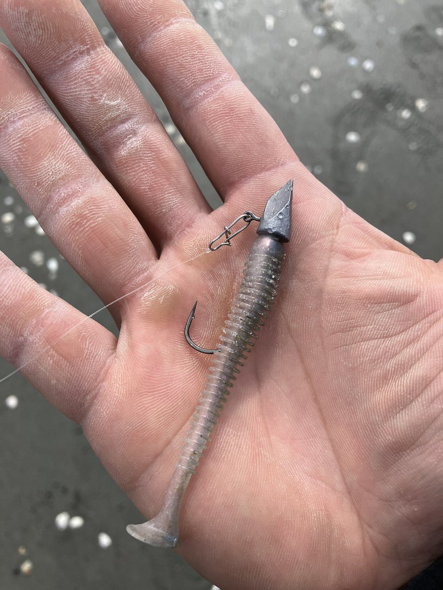 ta_chin_bream's tweet photo. ファーストプロトロッドのテストへ🐟先ずはスピニングから。久々のトップ。アルゴ69メインでDETA(皆様の流行りに乗っかりました笑)その後はイージーシャイナーのミドスト、スイングインパクトのボトムワインドがドハマリして15枚キャッチ(^o^)うん、良い感じ◎
#プロトロッド #APIA #ARGO69 https://t.co/sUBfblSFO2