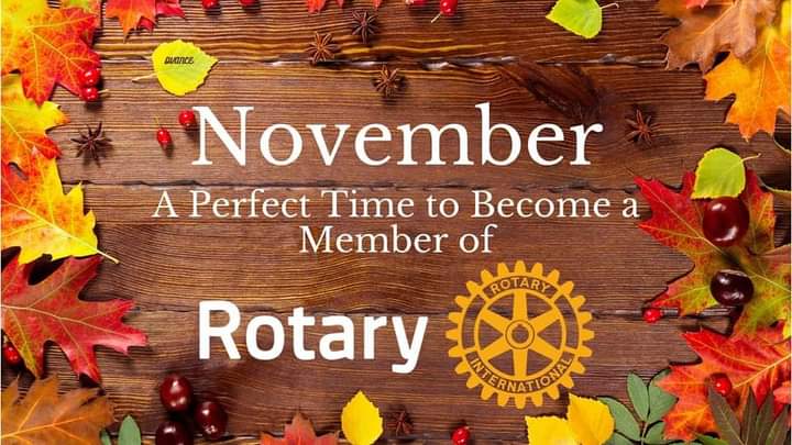 Rotary Club Of Ballarpur Dist 3030 tweet media