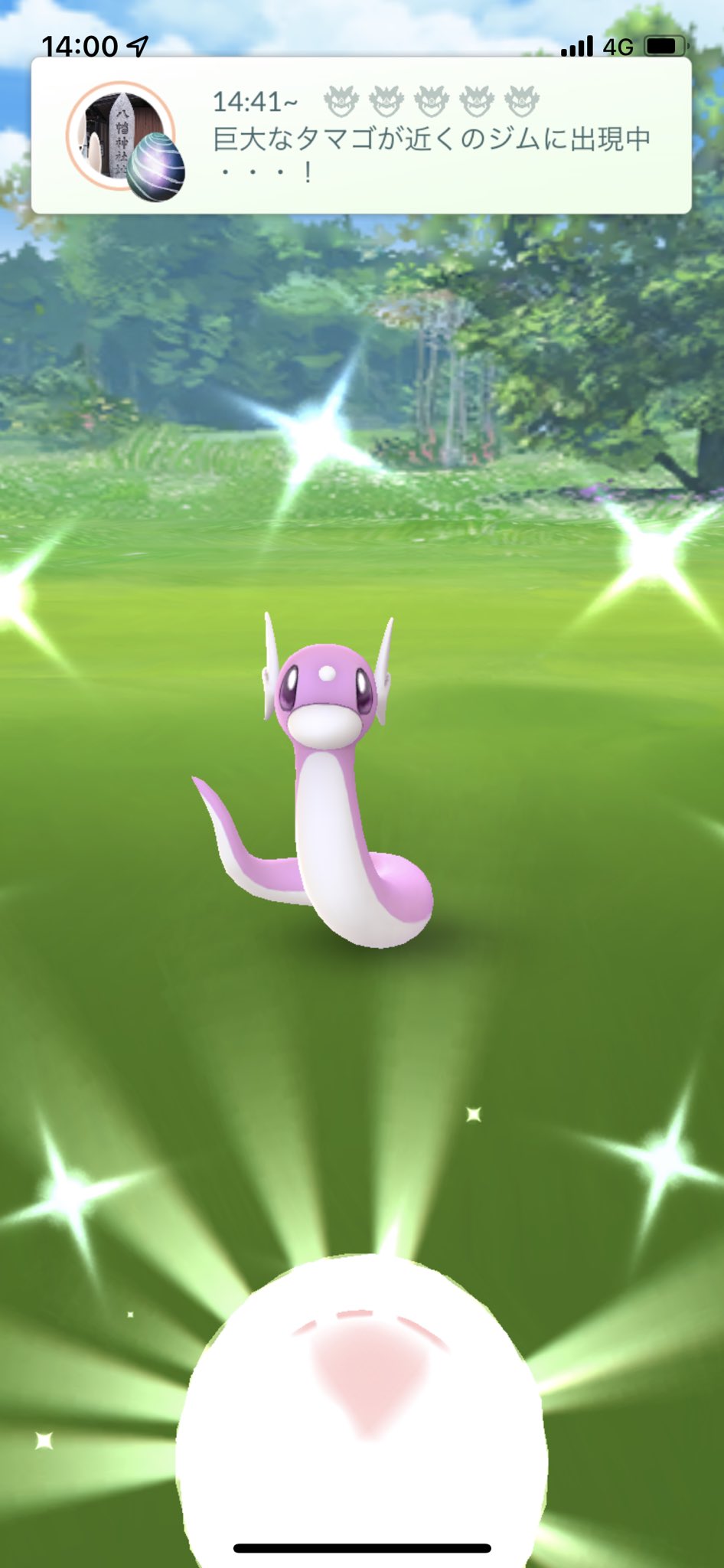 ひーちゃん ポケモンgo Aihifu Twitter