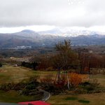 ツイートに含まれる画像