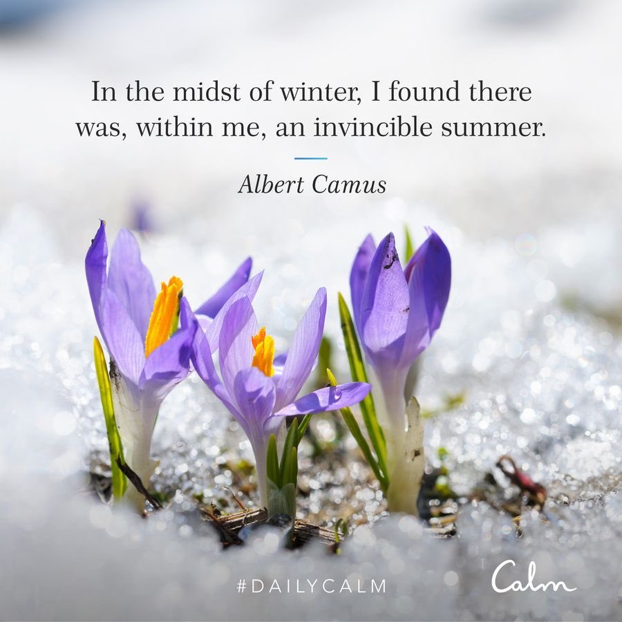 eHomGroup's tweet image. I think you'd like this session from Calm. You can listen to it for free.
calm.com/player/Td6pvHj…