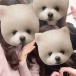 ツイートに含まれる画像