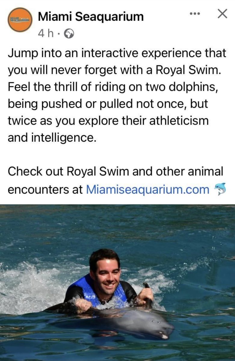 How can people who ‘love’ dolphins pay for this kind of cruel abuse? 

These dolphins have been starved of food, probably their condition is not good and M$Q is offering THIS? 

M$S offers cruelty for money. This should end. Now! #MiamiSeaquarium #Dolphins #DontBuyATicket