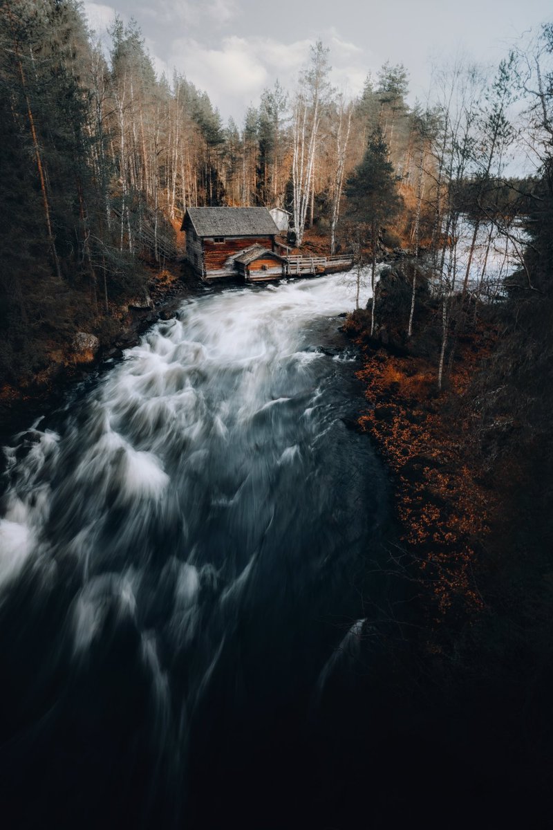 GM all. ☕️☺️