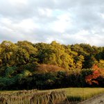 K(サイクリング、自然、緑、花、山が好きで英語上級レベル^^)のツイート画像