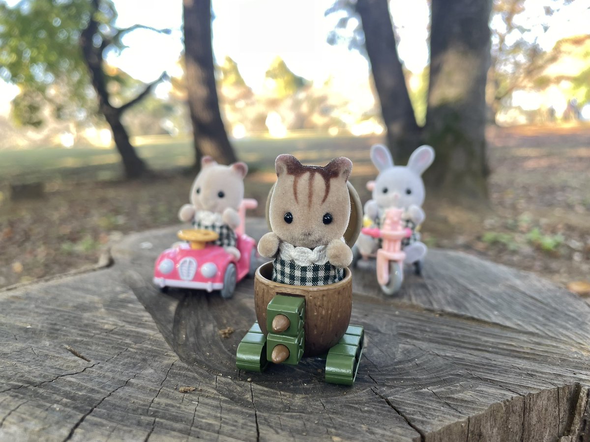 森の平和を守り隊！
どんぐりタンク可愛いです

#シルバニアファミリー