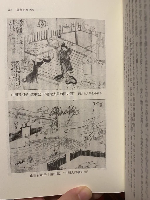 なんで愛犬の名前にチンコなんてつけたんだろう。 