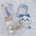 ダイソーに走れ!ぬいぐるみやマスコットを守る方法!