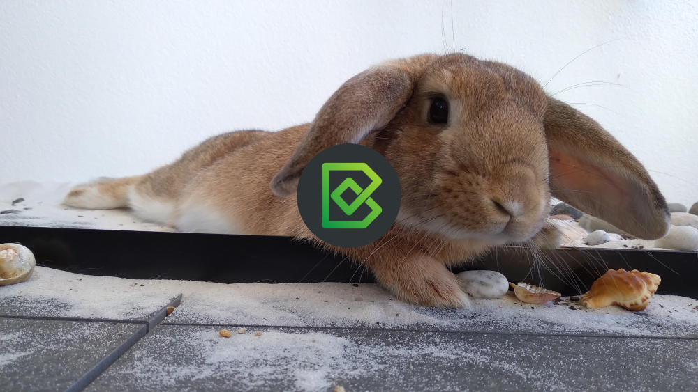 Go #OpenBIM. Go #OpenSource. Free #BlenderBIM Add-on v0.0.221105 released with 775 updates. Load huge models. New wall/slab/profile/stair tools, type manager, EU/AU steel library, faster, new site, IfcTester App. Visit blenderbim.org - Full notes: community.osarch.org/discussion/com…