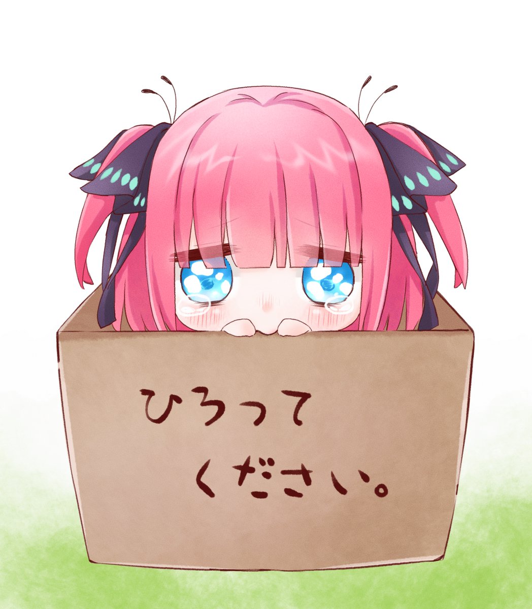 nakano itsuki 1girl in box animal ears cat in container ahoge cat ears  illustration images