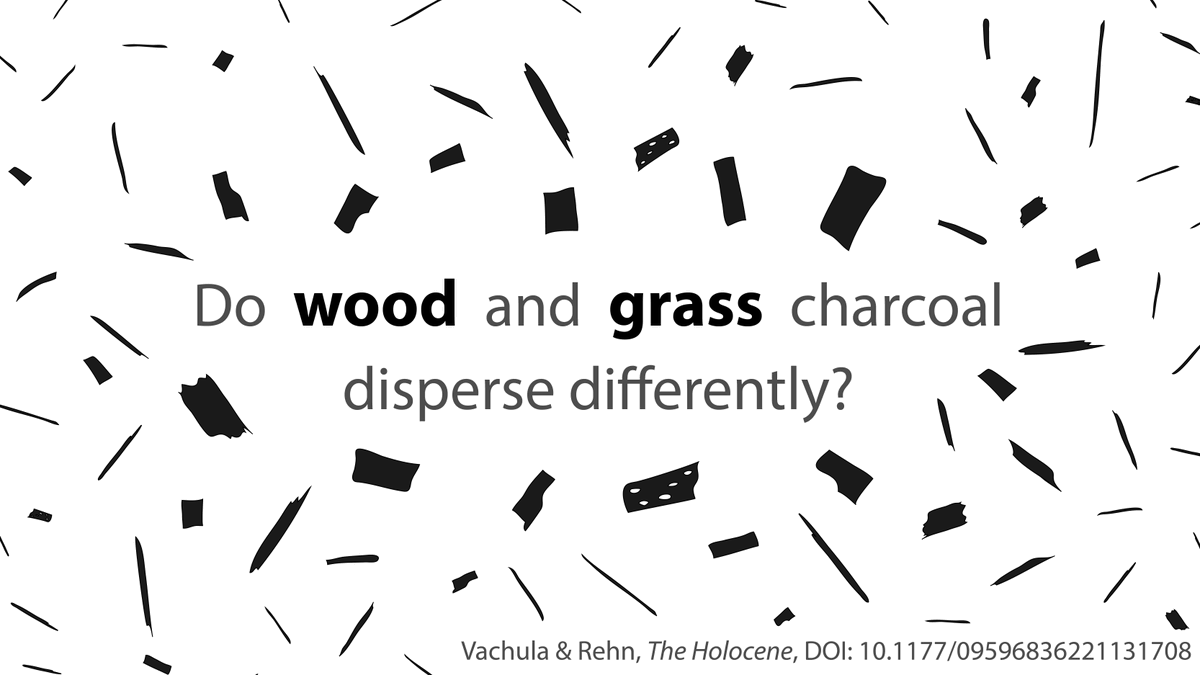 Dr Emma Rehn (@bluerehn) on Twitter photo New paper for #CharcoalTuesday! 🔥
@richardsvachula and I modelled how blocky and elongated charcoal disperse
Elongated particles appear to travel much further - this makes things tricky for #palaeofire reconstruction
Online now in <a href="/HoloceneJ/">The Holocene</a> - doi.org/10.1177/095968… New paper for #CharcoalTuesday! 🔥
@richardsvachula and I modelled how blocky and elongated charcoal disperse
Elongated particles appear to travel much further - this makes things tricky for #palaeofire reconstruction
Online now in <a href="/HoloceneJ/">The Holocene</a> - doi.org/10.1177/095968…