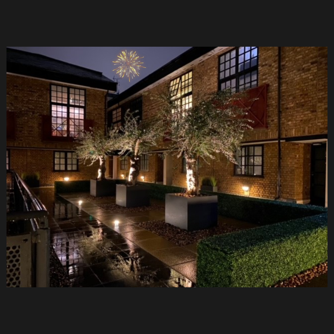 Villaggio Verde tweet media