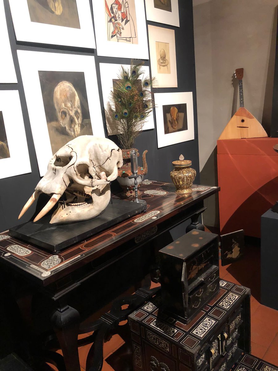PaoloLinetti1's tweet photo. #mnemosyne il #teatrodellamemoria ai musei civici di Pavia #cameredellemeraviglie #wunderkammer #mirabila #gabinettodellecuriosita #mostra #paololinetti https://t.co/Aq7oZLdVod