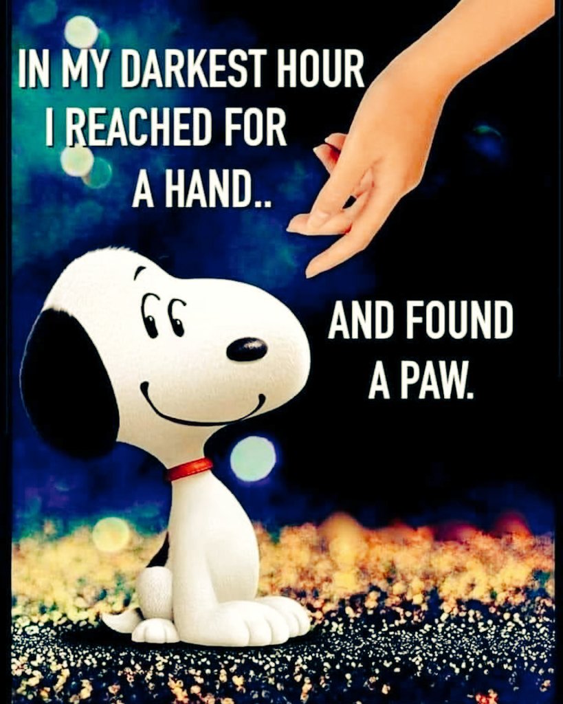 tru_indiann's tweet photo. If you don't own a dog, at least one, there may not necessarily be anything wrong with you, but there may be something wrong with your life.
#SaturdayVibes #Dogs_Lovers
Have a lovely Saturday &amp; a great weekend!! https://t.co/OBpepT1lpc