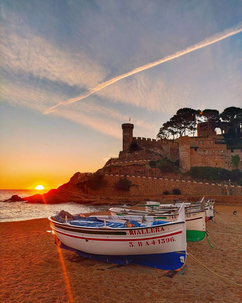 Pilar Roura tweet media