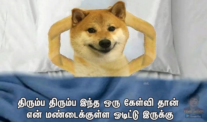 trichy_cinemas's tweet photo. #LoveToday moviela  Instagramla  avangaluku message pannathu yaru 🤔 
@pradeeponelife anna sollunga anna😅 https://t.co/9SoQ6lFmyY