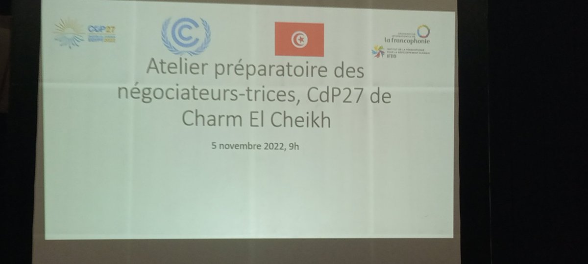 charlesbaimey's tweet photo. We will start soon our long journey here in Sharm el Cheikh. We reclaim more actions on adaptation for ours communities.  #cop27 #LossAndDamage #Adaptation @Jveivoire @MalleFofana @IFDD_OIF @CgBrooker https://t.co/ShcP4soc15